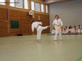 IMG_2096_bearbeitet-1.jpg