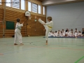 IMG_2097_bearbeitet-1.jpg