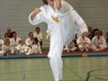 IMG_2165_bearbeitet-1.jpg