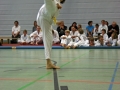 IMG_2173_bearbeitet-1.jpg