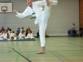 IMG_2224_bearbeitet-1.jpg