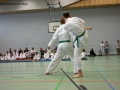 IMG_2237_bearbeitet-1.jpg