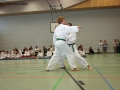 IMG_2241_bearbeitet-1.jpg