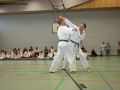 IMG_2243_bearbeitet-1.jpg