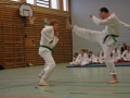 IMG_2249_bearbeitet-1.jpg