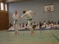IMG_2255_bearbeitet-1.jpg