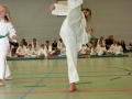 IMG_2288_bearbeitet-1.jpg