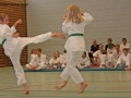 IMG_2308_bearbeitet-3.jpg