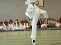 IMG_2345_bearbeitet-1.jpg