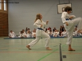 IMG_2446_bearbeitet-1.jpg