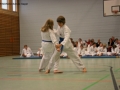 IMG_2451_bearbeitet-1.jpg