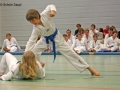 IMG_2452_bearbeitet-2.jpg