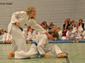 IMG_2463_bearbeitet-2.jpg