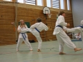 IMG_2484_bearbeitet-1.jpg