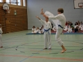 IMG_2573_bearbeitet-1.jpg