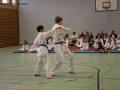 IMG_2594_bearbeitet-1.jpg