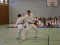 IMG_2595_bearbeitet-1.jpg