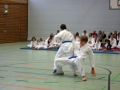IMG_2606_bearbeitet-1.jpg