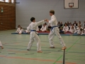 IMG_2614_bearbeitet-1.jpg