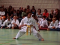 100_3575_bearbeitet-1