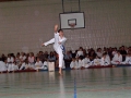 100_3810_bearbeitet-1