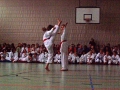 100_3895_bearbeitet-1