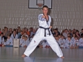 100_3952_bearbeitet-1