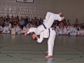 100_3998_bearbeitet-1