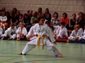 100_3575_bearbeitet-1
