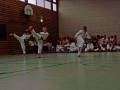 100_3732_bearbeitet-1
