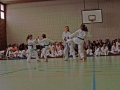 100_3772_bearbeitet-1