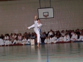 100_3810_bearbeitet-1