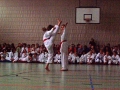 100_3895_bearbeitet-1