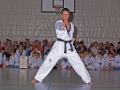 100_3952_bearbeitet-1