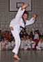 100_3964_bearbeitet-1