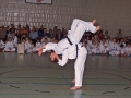 100_3998_bearbeitet-1
