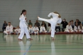 IMG_4515_bearbeitet-1