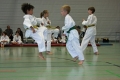IMG_4574_bearbeitet-1