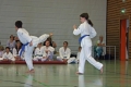 IMG_4713_bearbeitet-1