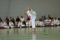 IMG_4822_bearbeitet-1