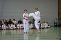 IMG_4837_bearbeitet-1