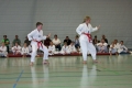 IMG_4856_bearbeitet-1