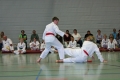 IMG_4867_bearbeitet-1