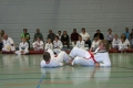 IMG_4868_bearbeitet-1