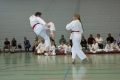 IMG_4885_bearbeitet-1