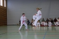 IMG_4886_bearbeitet-1