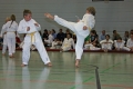 IMG_7947_bearbeitet-1