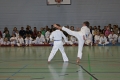 IMG_8188_bearbeitet-1