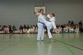 IMG_8234_bearbeitet-1