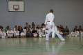 IMG_8491_bearbeitet-1